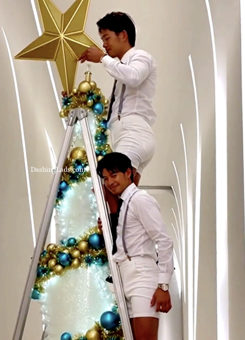 Christmas Tree fixing